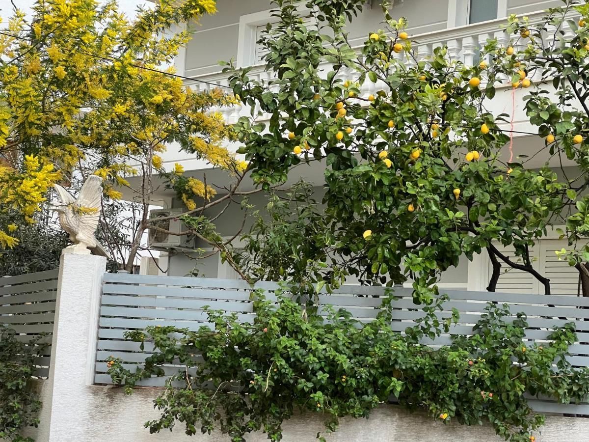 Apartments & Studios Ardian-Mandi Sarande-Albania Εξωτερικό φωτογραφία