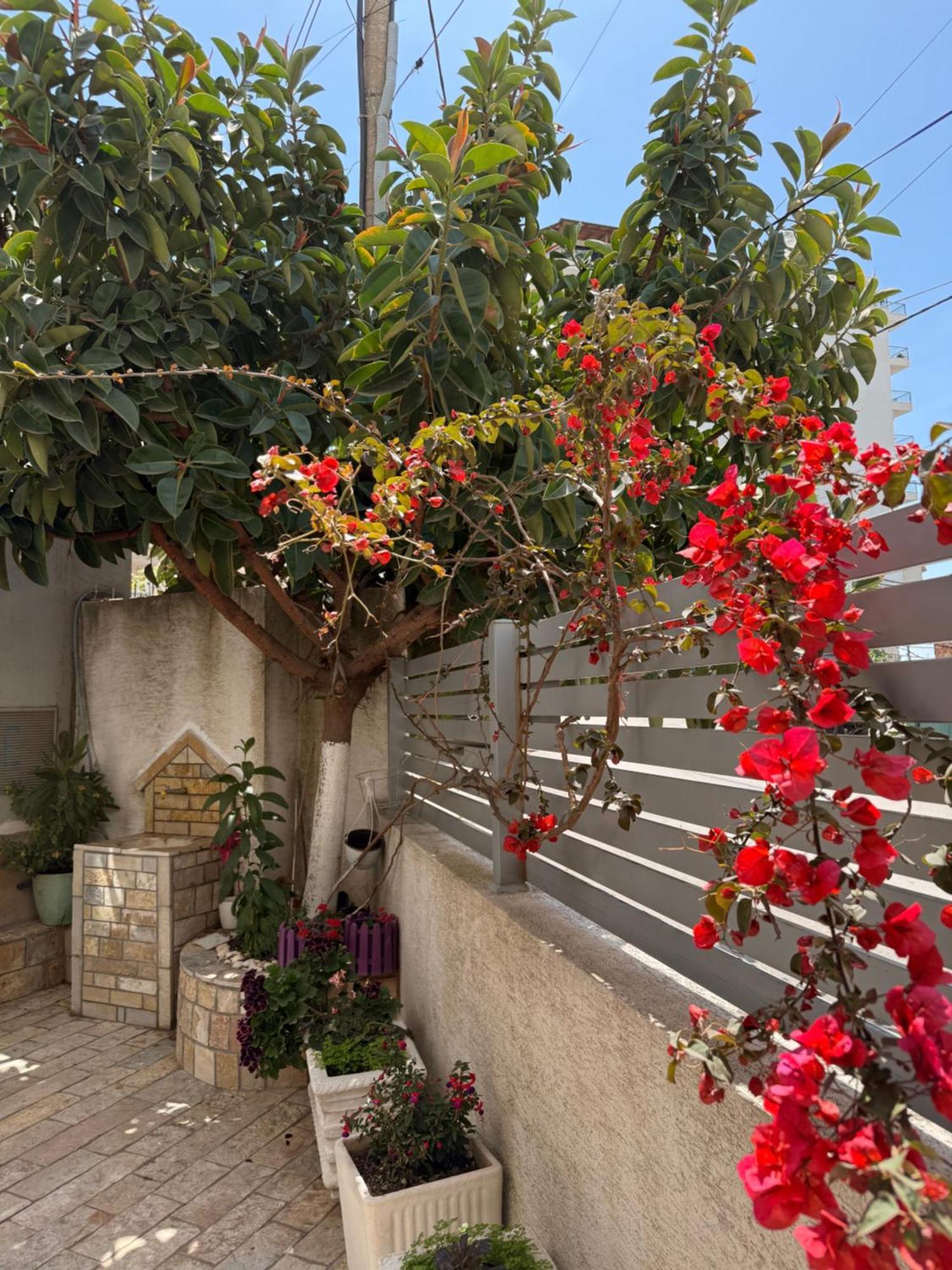 Apartments & Studios Ardian-Mandi Sarande-Albania Εξωτερικό φωτογραφία