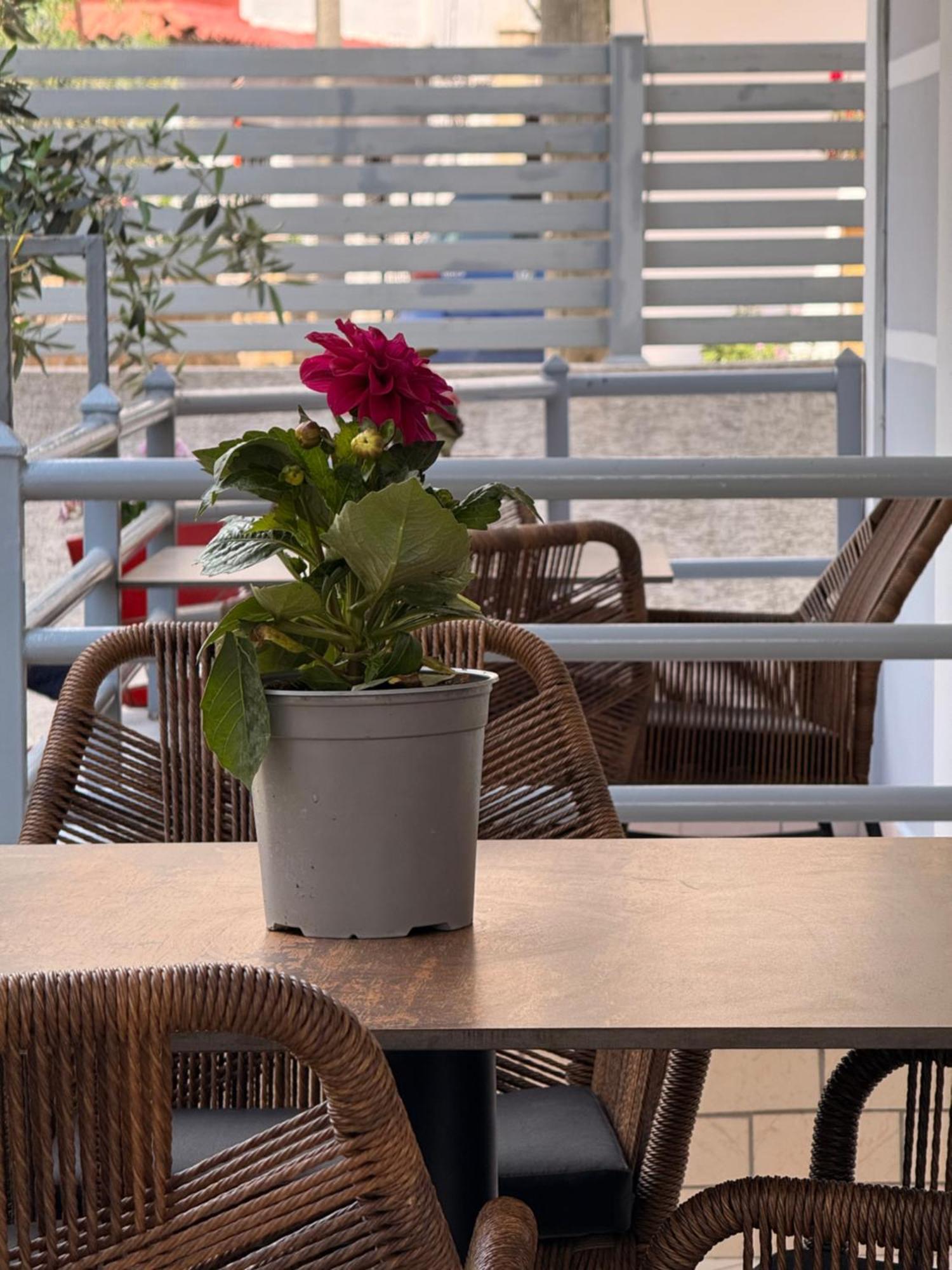 Apartments & Studios Ardian-Mandi Sarande-Albania Εξωτερικό φωτογραφία